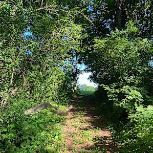 Path to the field behind our campsite