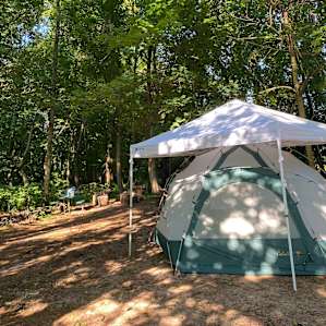 The large campsite was shaded and had a good breeze coming through, with soft sand on the ground. Ample room for multiple tents and cars.