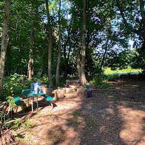 Campsite is supplied with brick fireplace, firewood, log stumps for seating/side tables, and a picnic table