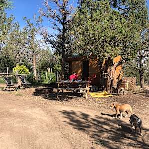 HoneyBee Ranch of Tumalo