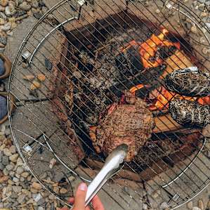 Great fire pit with a grill rack