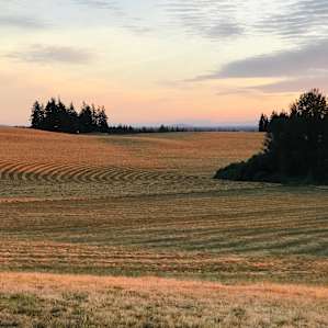 Country Camping near Silver Falls