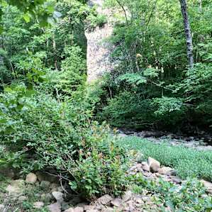 Walking around the property.