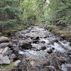 The river next to camp was beautiful.