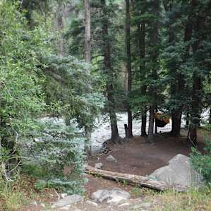 Plenty of spots to hang a hammock!