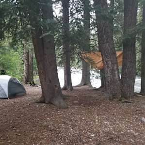 Plenty of flat ground for tents.