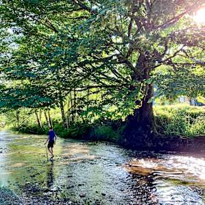 Enjoying the beauty of the river