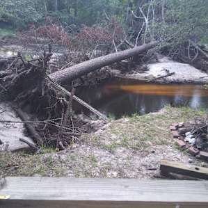 Large pine tree crosses River with a 10-foot drop off to river. Watch kids in this area at all times.