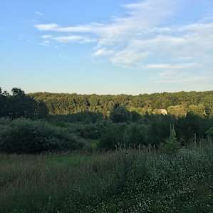 Shady Corner Camp - Tents & Campers