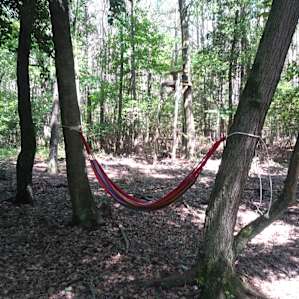 Deer Forest Hideaway
