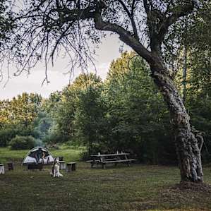 Dwyer Family Farm