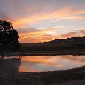 Rose Hill's Primitive Prairie