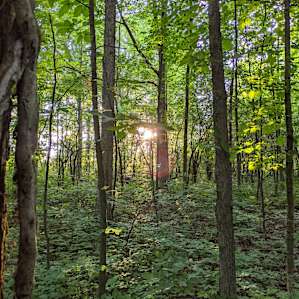 Just before the sunset at the campsite