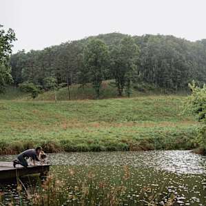 There are a few ponds on site, with several different critters to spot (fish/otter) if you're lucky.