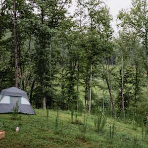 A wider idea of one of the tent sites.