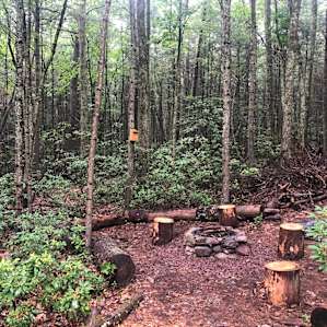 Fire pit in back of cabin!