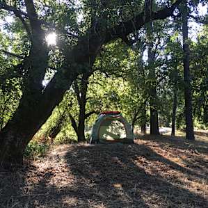 Site Camp