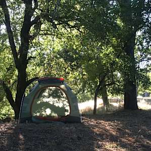 Site Camp