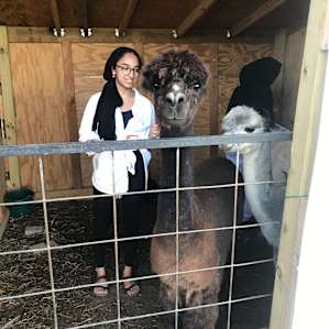 Heavenly Acres Farm Stay