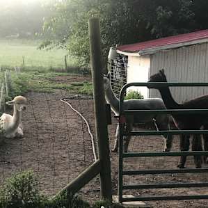 Heavenly Acres Farm Stay