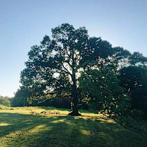 Great picnic spot at the front of the farm