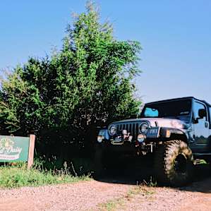 Wild Daisy Farm