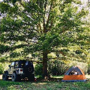 Campsite