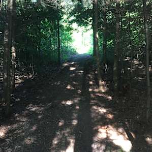 Camp Escape: The Underbelly