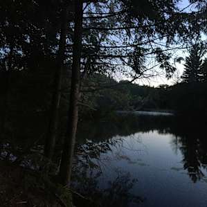 Camp Escape: The Underbelly