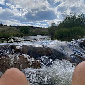 floating in the creek