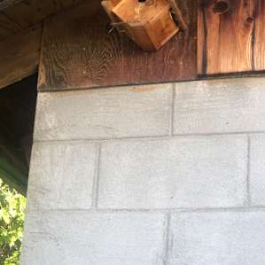 Close up of the bird house which is occupied by a mama bird and her babies!