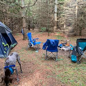 10 Acre Mackinac Base Camp