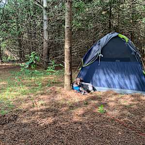 10 Acre Mackinac Base Camp