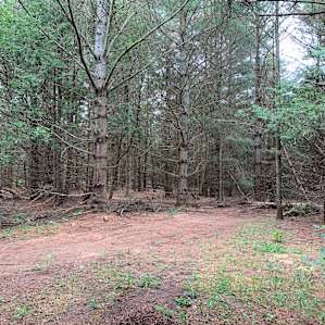 10 Acre Mackinac Base Camp