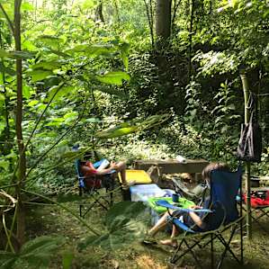 Secluded camp site