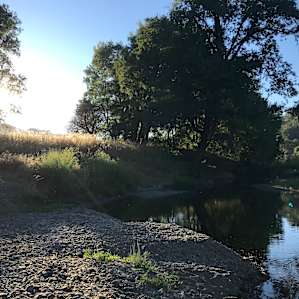 Creek spot