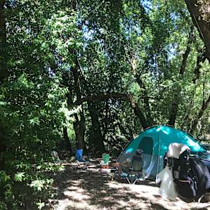 Hog City Diner campsite
