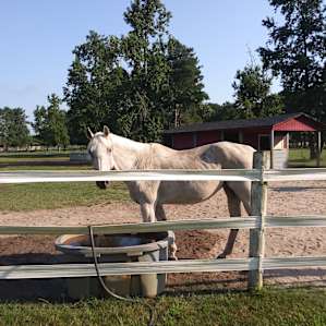 Legacy Farms Leisure Area