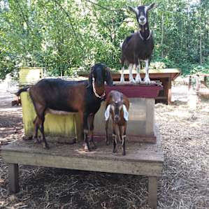 Legacy Farms Leisure Area