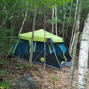 "Bear" Site Mtn Views/Animals Farm