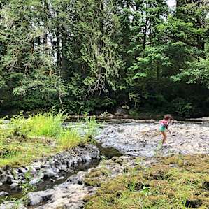 Costello's Creek Camp