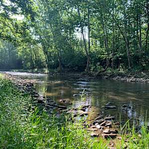 Miami River