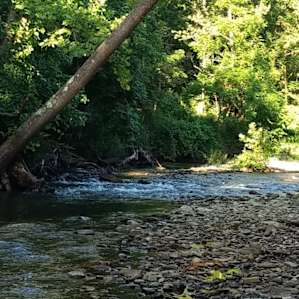 Crow Creek Wetlands