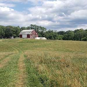 Josh's farm is beautiful
