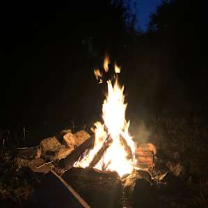 Costello's Creek Camp