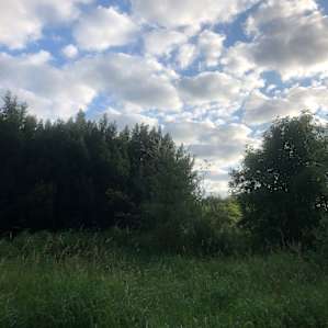 Costello's Creek Camp