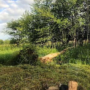 Costello's Creek Camp