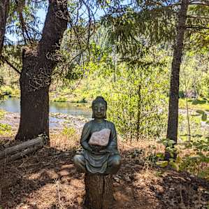 Cedar Bloom Open Camping