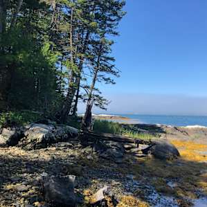 Coastline Site #1