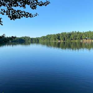 Wooded Tent Camping on Lake